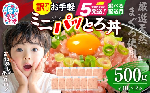 【2025年10月発送】ねぎとろ 約500g（約40g×12パック）小分け 冷凍 個包装 使い切りパック 1人前 まぐろたたき まぐろ 2249395 - 福島県いわき市
