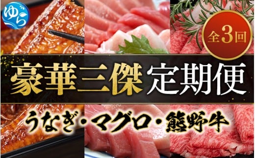 ＼新登場／ 豪華三傑 定期便！ 全3回 うなぎ 高級和牛（熊野牛） マグロ　人気返礼品を3回お届け♪♪ /  本まぐろ まぐろ うなぎ 鰻 肉 牛肉 和牛 人気 冷凍 定期便 ３回【tkb104】