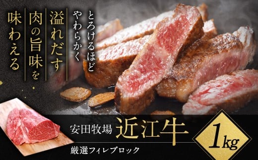 AF-G01 厳選フィレブロック　１kg 安田牧場 近江牛 牛 牛肉 国産 和牛 近江牛 ブランド牛 近江牛 牛肉 近江牛 近江牛 贈り物 ギフト 近江牛 やきしゃぶ 近江牛 国産 近江牛 滋賀県 近江牛 東近江市近江牛 近江牛 霜降り 日本三大和牛 ふるさと納税 ブランド牛 赤身 ギフト 贈り物 高級 人気 近江 東近江市 滋賀県 2114292 - 滋賀県東近江市