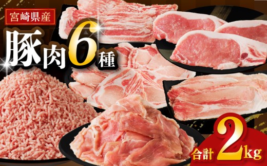 【令和7年11月発送】≪宮崎県産≫豚肉6種＼てげスゲーセット／合計2kg 肉 豚 豚肉 おかず 国産_T009-030-11