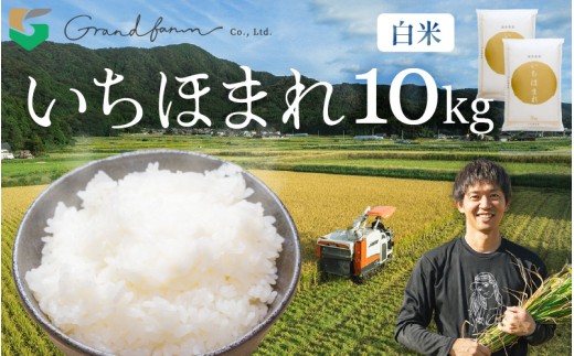 【先行予約】令和7年産 新米 いちほまれ 白米 10kg (5kg×2袋)【2025年11月上旬以降順次発送予定】　精米 福井県 美浜町産 白米 こめ コメ お米 おこめ 5キロ 10キロ おすすめ [m46-c001] 2256997 - 福井県美浜町