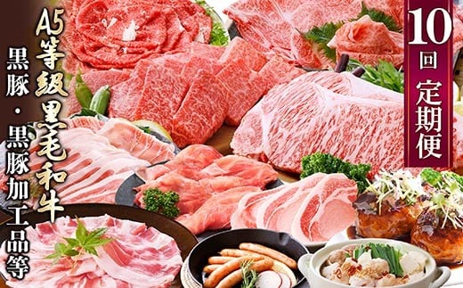 定期便(1年で10回配送)お楽しみ便(A5等級黒毛和牛・黒豚)HH-6004_ 肉 牛肉 サーロイン ステーキ 焼肉 ハンバーグ 切り落とし 豚肉 ロース バラ もつ鍋 【1166752】