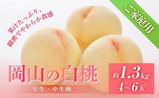 桃 2026年 先行予約 ご家庭用 岡山の 白桃（早生、中生種）約1.3kg 4～6玉 もも モモ フルーツ 果物 岡山市 一宮地区産 国産 赤木農園