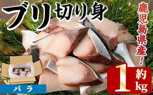 ＜先行予約受付中！2025年11月以降順次発送予定＞ブリの切り身(バラ・約1kg) 国産 鹿児島県産 ブリ 鰤 魚貝 魚介 海産物 焼き魚 煮つけ ブリカツ バラ【株式会社島水】akn102-01