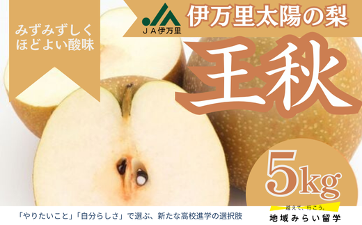 [JA伊万里]佐賀・伊万里梨「王秋」5kg