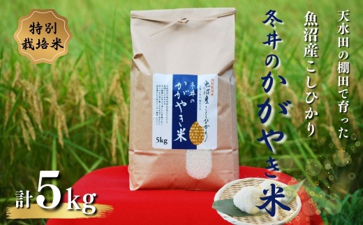 【数量限定】【令和7年産】 特別栽培米 魚沼産コシヒカリ「冬井のかがやき米」 5kg(5kg×1袋) アスカ冬井 【0002-0149-02】
