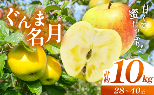 【先行予約】信州産 塩尻エールりんご！果汁たっぷり ぐんま名月 約10kg（28～40玉）【10月中旬頃～発送予定】| 果物 くだもの フルーツ 林檎 りんご リンゴ ぐんま名月 果実 アップル 長野県 塩尻市
