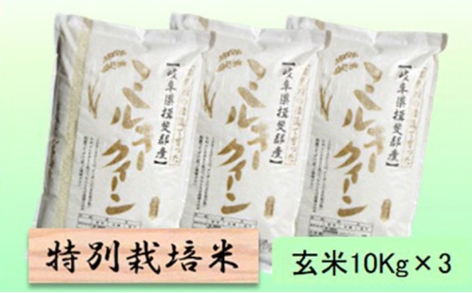 【令和7年産】特別栽培米 30kg【玄米】（ミルキークイーン） [№5644-1588]
