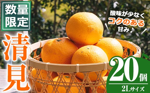 ＜先行予約受付中！2026年4月上旬以降順次発送予定＞数量限定！鹿児島県産 清見 (20個・2L) 柑橘 フルーツ 果物 国産 みかん 期間限定 きよみ キヨミ ミカン【株式会社イロドリ】akn069-09