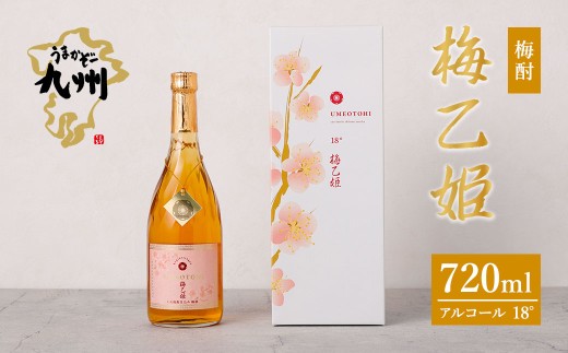 うまかぞー九州 本格梅酒 梅乙姫 720ml 梅酒　KN163-002 2254494 - 鹿児島県鹿屋市