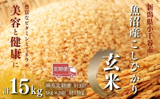 【玄米 選別品】令和7年産 先行予約 魚沼産コシヒカリ 玄米 定期便5kg×3回 （隔月お届け）米太【0020-KT08DB00-01】