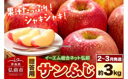 【26年2月～発送】りんご  贈答用 サンふじ 約3kg 糖度 13度以上 EMりんご【レビューキャンペーン】