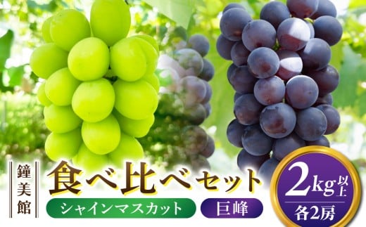 【鐘美館】標高750mで育ったシャインマスカット×種なし巨峰食べ比べセット　2kg以上 ※2025年10月上旬以降順次発送