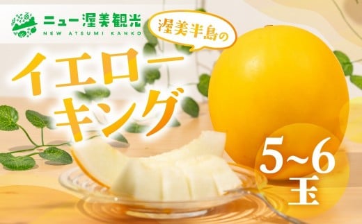 [先行予約]イエローキングメロン 5 〜 6玉 入り( 計 4kg 以上 )メロン イエロー キング メロン フルーツ 果物 愛知県 田原市 渥美半島 お取り寄せ スイーツ ギフト 贈り物 プレゼント 贈答 贈答用 ニュー渥美 観光