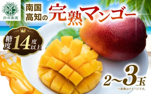 【令和8年産 先行予約受付】 完熟 マンゴー 2玉 ～ 3玉 800g ～ 900g フルーツ 果物 くだもの 季節限定 期間限定 旬 限定 高糖度 南国フルーツ 南国マンゴー スイーツ デザート アレンジ プリン ケーキ スムージー  国産 メリーガーデン 高知県安芸市