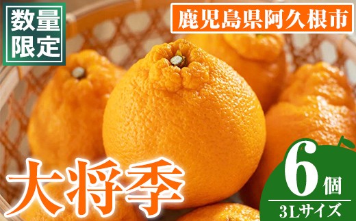 ＜先行予約受付中！2026年1月中旬以降順次発送予定＞数量限定！大将季 (6個・3Lサイズ) 柑橘 フルーツ 果物 国産 みかん 期間限定 不知火 しらぬい シラヌイ ミカン 【株式会社イロドリ】akn069-07