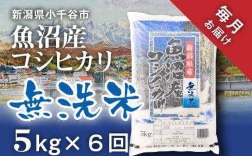 令和7年産 先行予約 魚沼産コシヒカリ 無洗米 定期便5kg×6回 （毎月お届け）米太【0020-KT04DB00-01】
