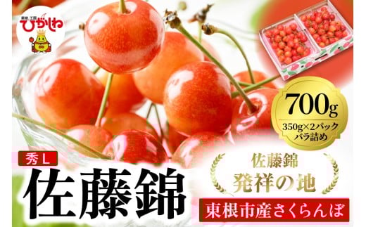 2026年 東根産さくらんぼ「佐藤錦」700gバラ詰め(350g×2ﾊﾟｯｸ) 秀品 Lサイズ 東根農産センター提供 山形県 東根市 hi027-218 2258599 - 山形県東根市