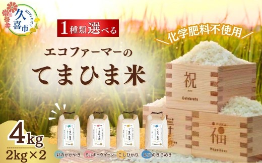 [先行予約]令和7年度産『てまひま米』選べる品種 精米4kg | 令和7年 2025年 新米 米 コメ お米 おこめ 特産米 ブランド米 てまひま 手間暇 手間隙 手間ひま 精米 白米 おいしい 美味しい ごはん SDGs 循環型 循環型農業 持続可能な農業 環境に優しい 環境問題 高品質 地元産 主食 和食 健康 安心 ギフト 贈り物 埼玉県 久喜市