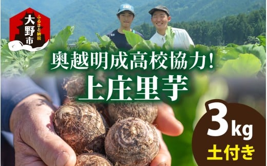 【先行予約】奥越明成高校協力!!　旨味たっぷり上庄の里芋【土付】3kg【11月10日より順次発送】 2257629 - 福井県大野市