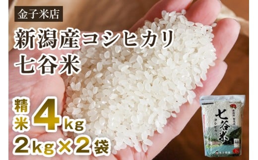【令和7年産新米先行予約】老舗米穀店が厳選 新潟産 従来品種コシヒカリ「七谷米」精米4kg（2kg×2）〈10月上旬から順次出荷〉 白米 窒素ガス充填パックで鮮度長持ち 金子米店