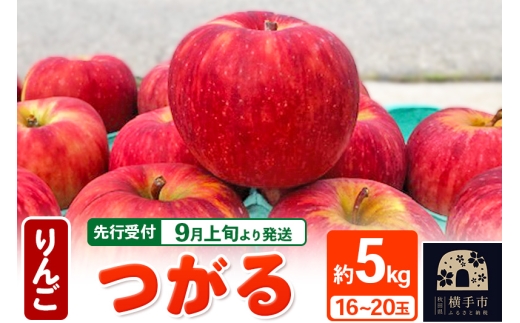 9月上旬より発送 つがる りんご 約5kg（16～20玉）玉数おまかせ