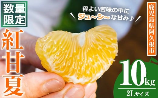 ＜先行予約受付中！2026年3月中旬以降順次発送予定＞数量限定！鹿児島県産 紅甘夏 (10kg・2L) 柑橘 フルーツ 果物 国産 みかん 期間限定 数量限定 ベニアマナツ ミカン 旬 【株式会社イロドリ】akn069-10
