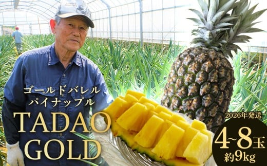 TADAO GOLD　4～8玉　約9kg（多冠芽含む）【ゴールドバレル】2026年発送 ゴールドバレル パインアップル タダオゴールド たまき ただお 逸品 パイン職人 最高級 国産パイン パイナップル パイン 匠 高級フルーツ 南国フルーツ 特別 希少 玉城忠男 農家直送 沖縄 東村 1171600 - 沖縄県東村