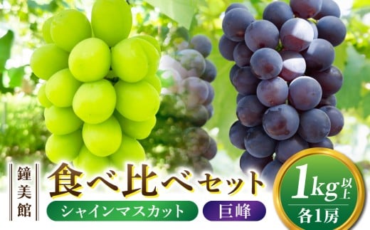 【鐘美館】標高750mで育ったシャインマスカット×種なし巨峰食べ比べセット　1kg以上 ※2025年10月上旬以降順次発送