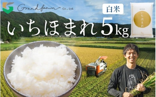 【先行予約】令和7年産 新米 いちほまれ 白米 5kg 【2025年11月上旬以降順次発送予定】精米 福井県 美浜町産 こめ コメ お米 おこめ 5キロ 10キロ おすすめ [m46-a001] 2256998 - 福井県美浜町