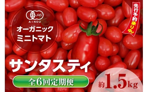 ★先行予約★　【全6回定期便】オーガニックミニトマト（サンタスティ）約1.5kg ／ とまと 野菜 高糖度 スナックタイプ 愛知県 特産品