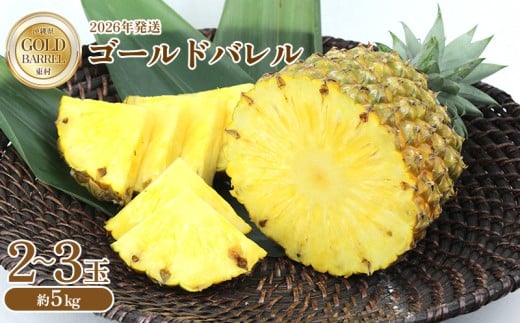 東村産 ゴールドバレルパイン2（2～3玉・約5kg）【2026年発送】 ゴールドバレル パインアップル パイナップル パイン 国産パイン 国産 生産量日本一 ゴールドバレルパイン 甘い おいしい 希少 バレル 人気 ジューシー 南国 トロピカル 予約 先行予約 沖縄 東村 807935 - 沖縄県東村