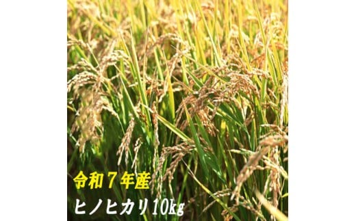 120001-7　【令和7年産】ヒノヒカリ　10ｋｇ 2258109 - 高知県奈半利町