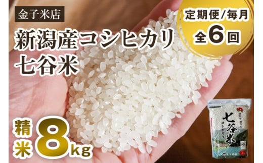 【令和7年産新米先行予約】【定期便6ヶ月毎月お届け】新潟産 コシヒカリ「七谷米」精米 8kg（2kg×4）《10月上旬から順次出荷》 従来品種 窒素ガス充填パックで鮮度長持ち 老舗米穀店が厳選 金子米店 お米 米 定期便