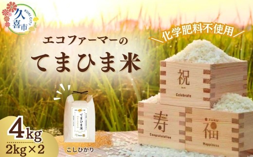 【先行予約】令和7年度産 旨味が香る『てまひま米』（こしひかり）精米4kg | 令和7年 2025年 米 コメ お米 おこめ 特産米 ブランド米 てまひま 手間暇 手間隙 手間ひま 精米 白米 おいしい 美味しい ごはん SDGs 循環型 循環型農業 持続可能な農業 環境に優しい 環境問題 高品質 地元産 主食 和食 健康 安心 ギフト 贈り物 埼玉県 久喜市
