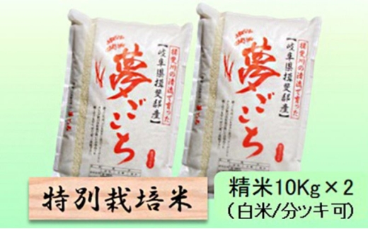 【令和7年産】特別栽培米 20kg【白米､7分ツキ】（夢ごこち）白米 [№5644-7111]
