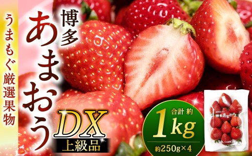 福岡県産特産品 うまもぐ厳選果物 福岡県産 博多あまおう DX上級品 約1kg（約250g×4パック入り）