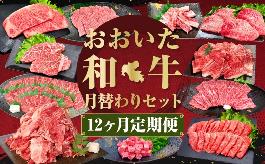 【12ヶ月定期便】毎月替わるおおいた和牛セット!12ヶ月おおいた和牛月替わり