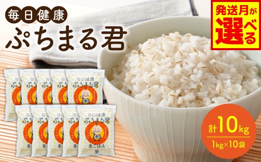 熊本県産大麦100% ぷちまる君 10kg(1kg×10袋)