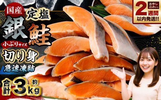 国産 定塩銀鮭切り身 合計約3kg (約1kg×3パック)
