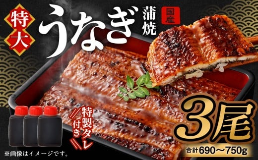 国産うなぎ蒲焼 3尾 と特製タレ3個 セット