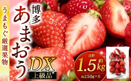 福岡県産特産品 うまもぐ厳選果物 福岡県産 博多あまおう DX上級品 約1.5kg（約250g×6パック入り）