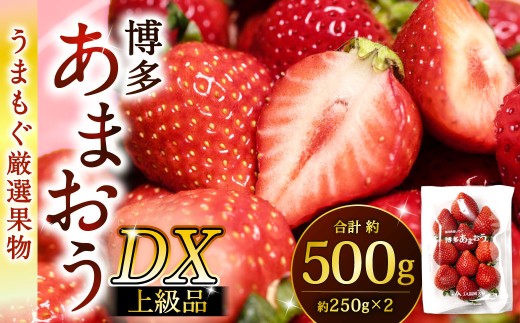 福岡県産特産品 うまもぐ厳選果物 福岡県産 博多あまおう DX上級品 約500g(約250g×2パック入り)