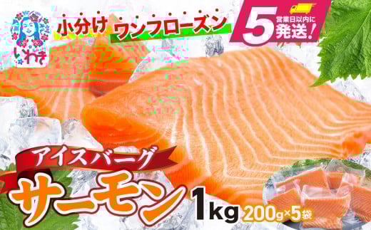 アイスバーグサーモン（アトランティックサー