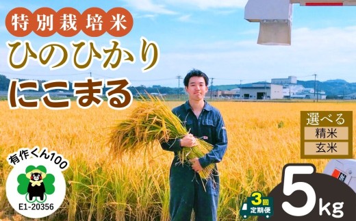 米農家の宮村さん「今年もたくさん育ちました！」