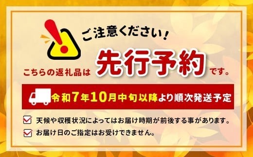 10月中旬頃より出荷予定です。