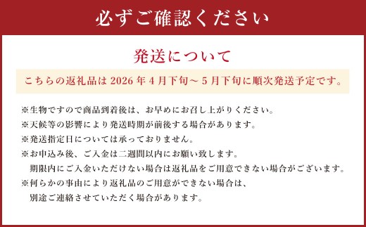 レノン メロン 2玉入り（1玉1.5kg以上） 赤肉メロン