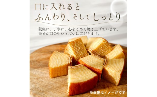 ※画像はイメージです。