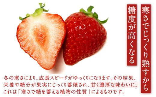 福岡県産特産品 うまもぐ厳選果物 福岡県産 博多あまおう DX上級品 約1kg（約250g×4パック入り）