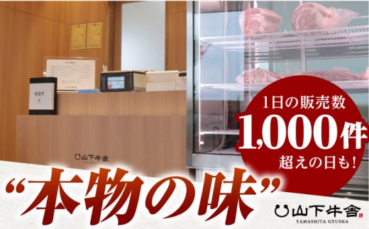 【A5ランクの超希少部位】佐賀牛 ヒレ ブロック 1kg【山下牛舎】 [HAD062]
